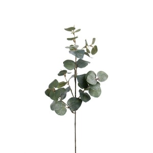 Ecalyptus med is 70 cm