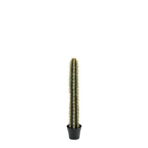 Kaktus 98 cm