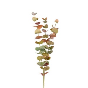 Eucalyptus mix farger 60 cm