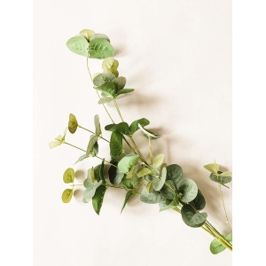 Gren eucalyptus 84cm