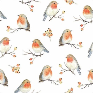 Serviett lunsj "Robin family"