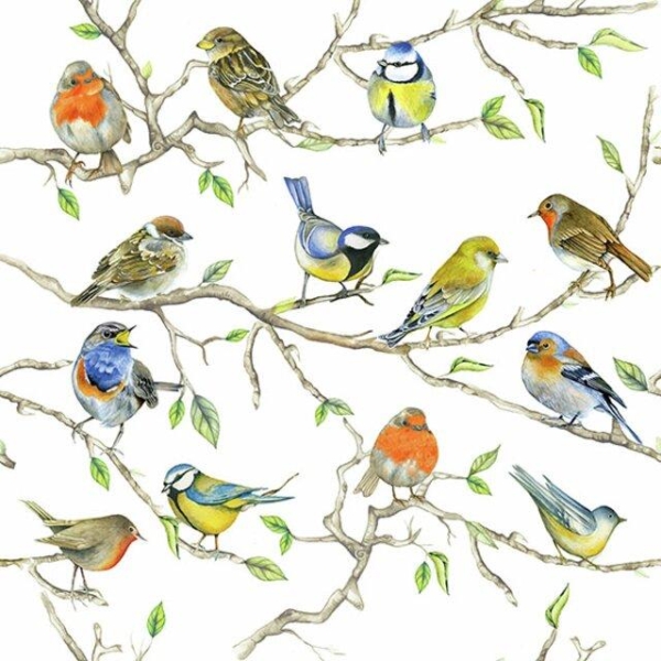 Serviett kaffe "Birds meeting" 12,5 x 12,5