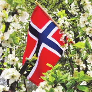 Serviett Lunsj 17 Mai Flagg epletre blomstrer