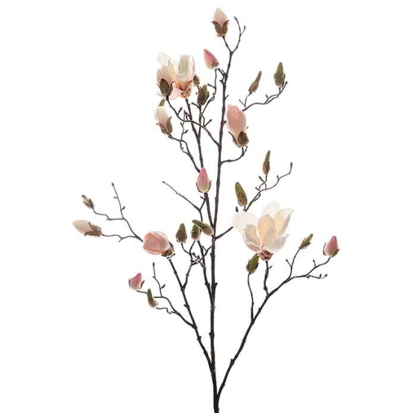 Magnolia rosa H 110cm