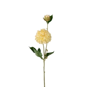Dahlia Lys gul H 66 cm