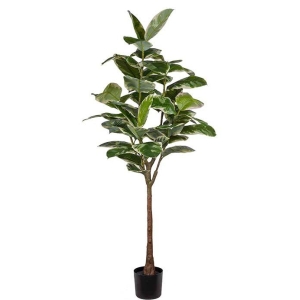 Fiken Høyde 190 cm
