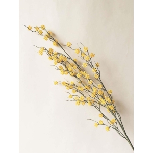 Grem med gul blomster H91 cm