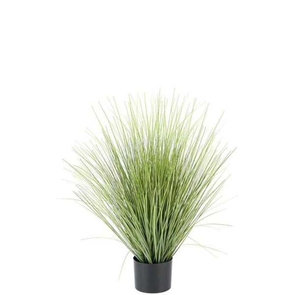 Gress 80 cm