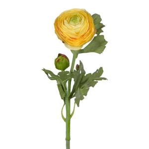 Ranuncel Gul H 50cm