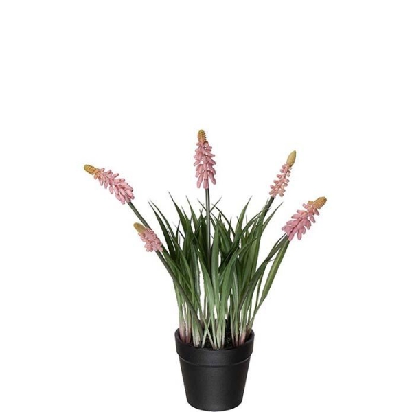Perleblomst Rosa 28cm
