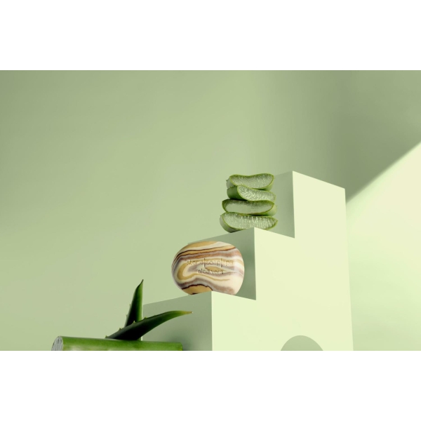 Aloe vera - May-Chang - Bilde 2