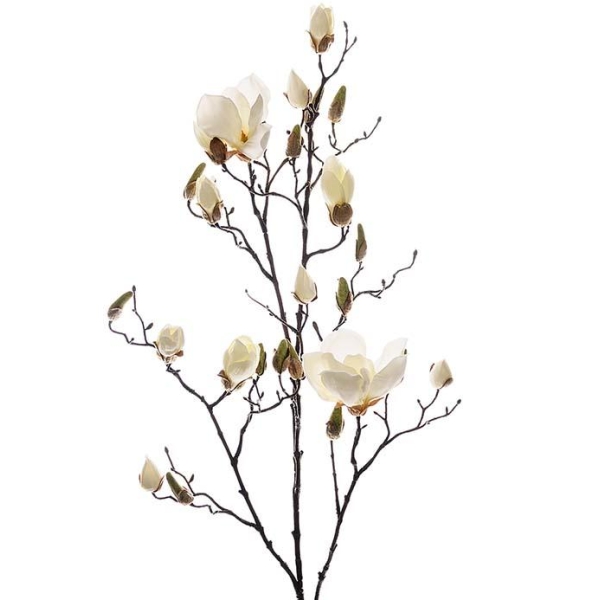 Magnolia Hvit H 110 cm
