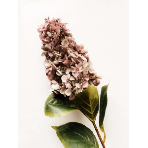 Syrinhortensia 82cm støvet lilla