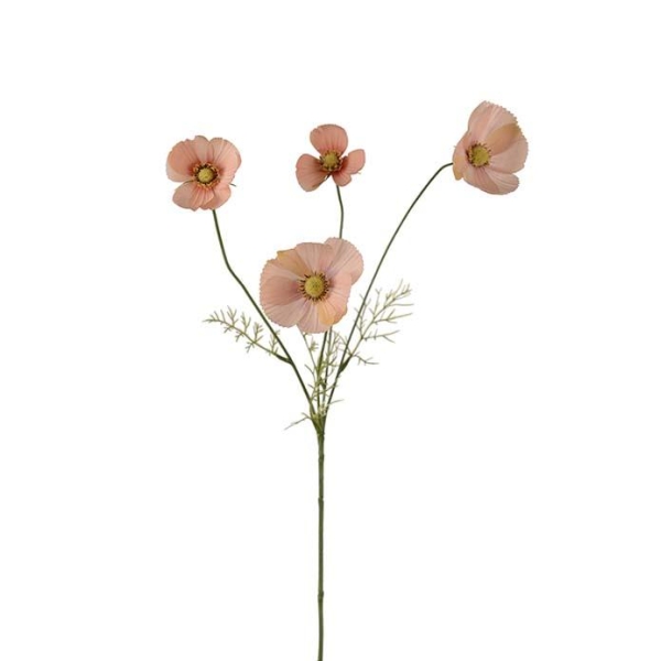Smørblomst Aprikos H 60cm