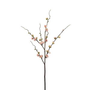 Plommonblom Rosa H 90cm