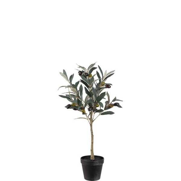 Oliven tre H55cm