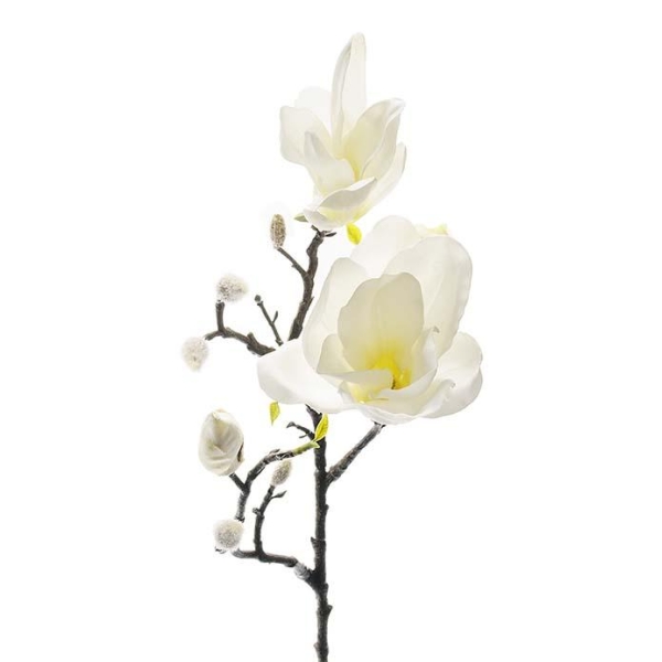 Magnolia Hvit H 60cm