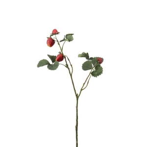 Jordbær kvist H50cm