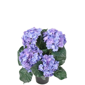 Hortensia Blå H37cm
