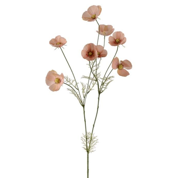 Smørblomst Aprikos H 100cm
