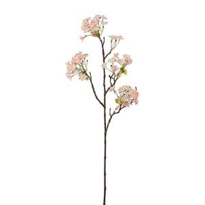 Lønnblomma Rosa H 70 cm