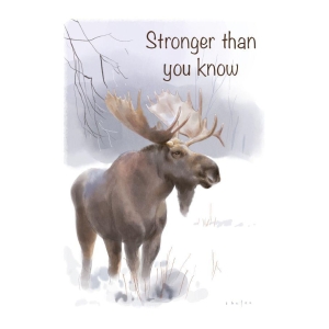 The spirit of Northern Nature - Stronger then you know