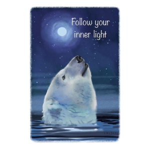 The spirit of Northern Nature - Follow your inner light