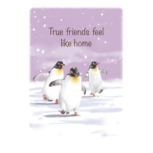 The spirit of Northern Nature - True friends feel like home