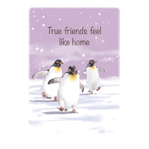 The spirit of Northern Nature - True friends feel like home