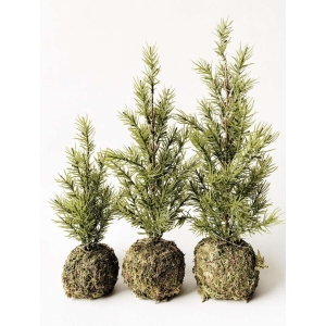 Gran med mose 23cm