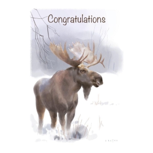 The spirit of Northern Nature - Congratulations
