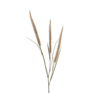 Fjærbørstegress 125cm