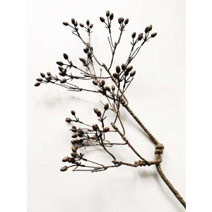 Gren med bær sort 85 cm