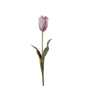Tulipan lilla H 58cm
