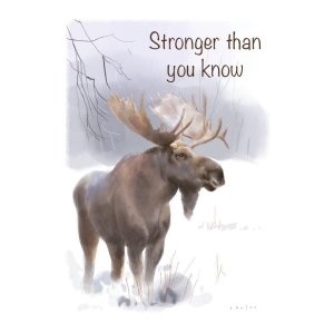 The spirit of Northern Nature - Stronger then you know