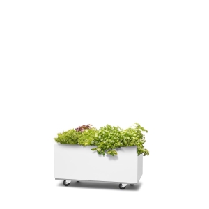 Bedd plantekasse 60x30x25 Hvit