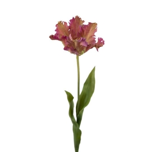 Tulipan Mørk rosa H 70cm