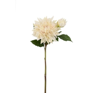 Dahlia krem "real touch" 70 cm