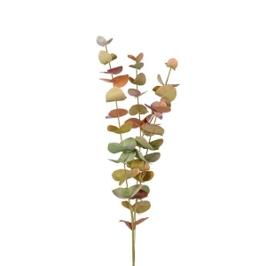 Eucalyptus mix farger