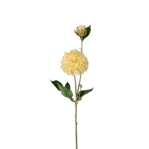 Dahlia Lys gul H 66 cm