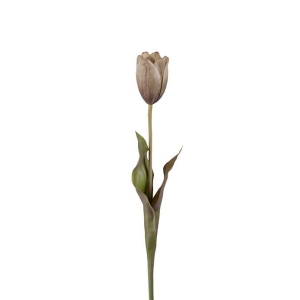 Tulipan Grønn H 58cm
