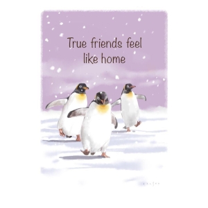 The spirit of Northern Nature - True friends feel like home