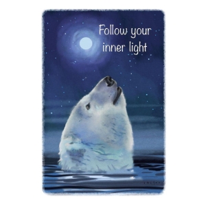 The spirit of Northern Nature - Follow your inner light