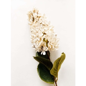 Syrinhortensia 82cm creme