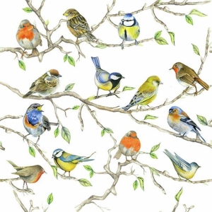 Serviett Lunsj "Birds meeting" 16,5x16,5 cm