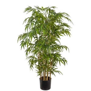 Bambu 150cm