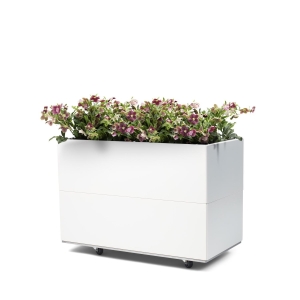 Bedd plantekasse 80x40x50 Hvit