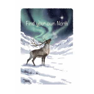 The spirit of Northern Nature - Find your own North