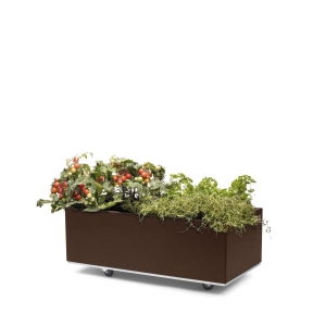 Bedd plantekasse 80x40x25 rustlakk