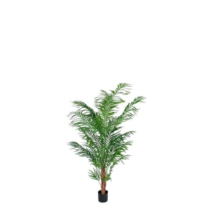 Palme areca 150 cm